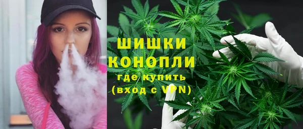 дмт Осинники