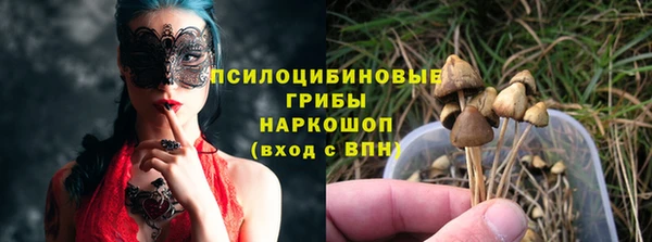 дурь Аркадак