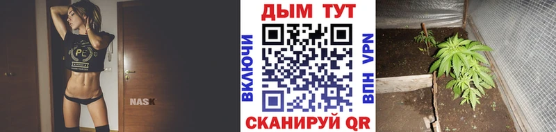 МАРИХУАНА ГИДРОПОН  купить закладку  Советский 